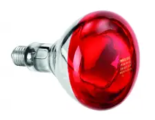 Lamp 114271