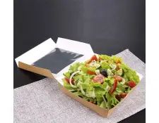Saladebak PS86573