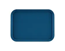 Cambro Dienblad DS517