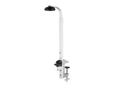 Olympia K 488