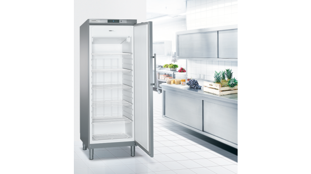 Liebherr diepvrieskast GGv 5060