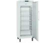 Liebherr diepvrieskast GGv5810