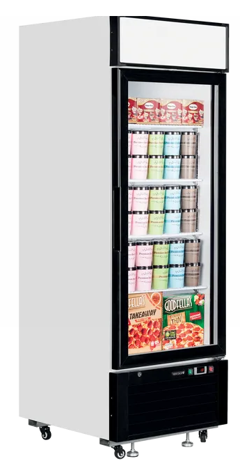 Tefcold LGF2500
