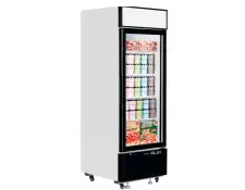 Tefcold LGF2500