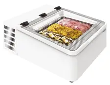 Tefcold 47527