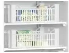 Saro Bak 31x51x17 cm