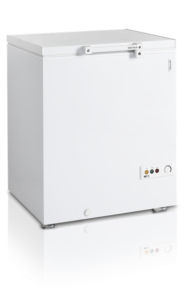 Tefcold FR205SL