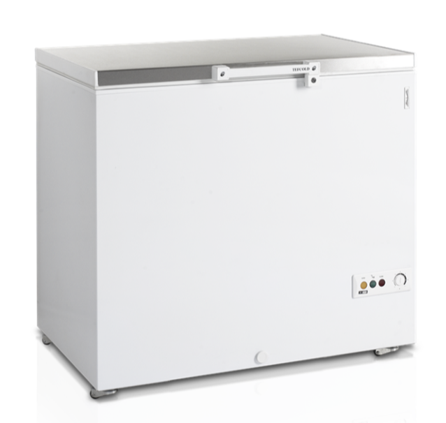 Tefcold FR305S SL